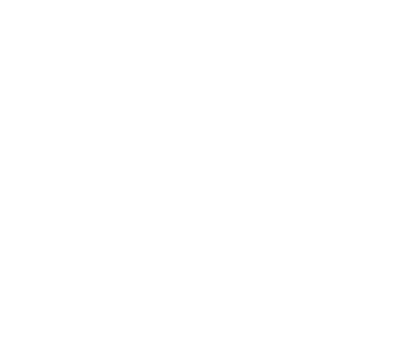 logo X